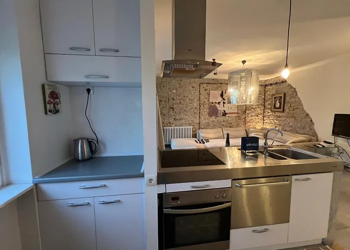 Urban Open Space شقة نوفي ساد